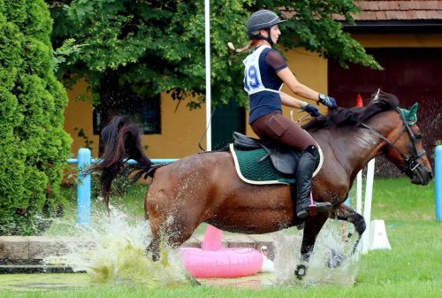 7-copy Hucuły na medal – emocjonujące kwalifikacje w Klikowskiej Ostoi- cz..1