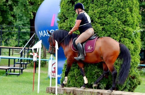 img-4529-edytowano-copy Hucuły na medal – emocjonujące kwalifikacje w Klikowskiej Ostoi- cz..1