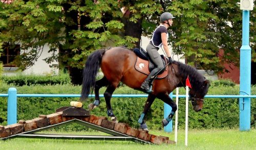 img-4556-edytowano-copy Hucuły na medal – emocjonujące kwalifikacje w Klikowskiej Ostoi- cz..1