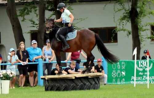 img-4590-edytowano-copy Hucuły na medal – emocjonujące kwalifikacje w Klikowskiej Ostoi- cz..1