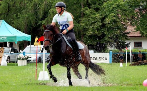 img-4608-edytowano-copy Hucuły na medal – emocjonujące kwalifikacje w Klikowskiej Ostoi- cz..1