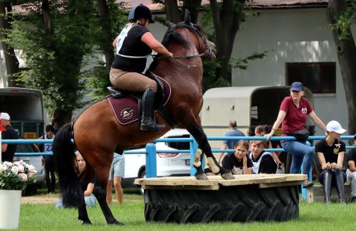img-4656-edytowano-copy Hucuły na medal – emocjonujące kwalifikacje w Klikowskiej Ostoi- cz..1