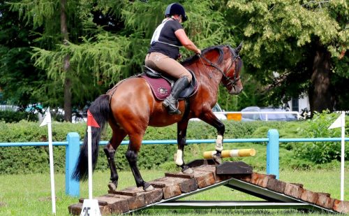 img-4676-edytowano-copy Hucuły na medal – emocjonujące kwalifikacje w Klikowskiej Ostoi- cz..1