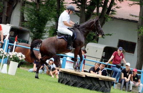 img-4691-edytowano-copy Hucuły na medal – emocjonujące kwalifikacje w Klikowskiej Ostoi- cz..1
