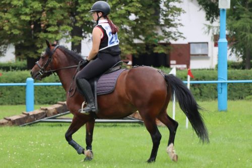 img-4750-edytowano-copy Hucuły na medal – emocjonujące kwalifikacje w Klikowskiej Ostoi- cz..1