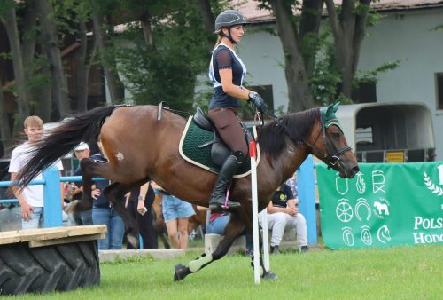 img-4836-edytowano-copy Hucuły na medal – emocjonujące kwalifikacje w Klikowskiej Ostoi- cz..1
