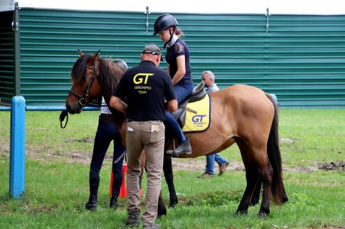 img-4873-edytowano-copy Hucuły na medal – emocjonujące kwalifikacje w Klikowskiej Ostoi- cz..1
