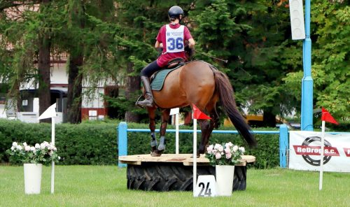 img-4886-edytowano-copy Hucuły na medal – emocjonujące kwalifikacje w Klikowskiej Ostoi- cz..1