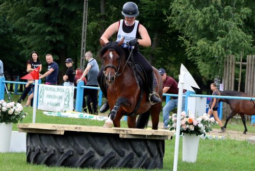 img-4938-edytowano-copy Hucuły na medal – emocjonujące kwalifikacje w Klikowskiej Ostoi- cz..1