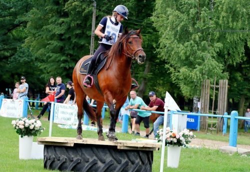 img-4950-edytowano-copy Hucuły na medal – emocjonujące kwalifikacje w Klikowskiej Ostoi- cz..1
