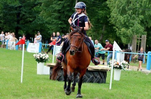 img-4969-edytowano-copy Hucuły na medal – emocjonujące kwalifikacje w Klikowskiej Ostoi- cz..1