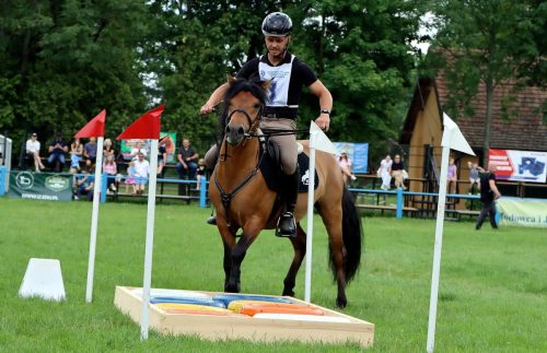 img-4996-edytowano-copy Hucuły na medal – emocjonujące kwalifikacje w Klikowskiej Ostoi- cz..1