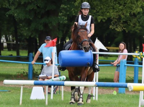 img-5020-edytowano-copy Hucuły na medal – emocjonujące kwalifikacje w Klikowskiej Ostoi- cz..1