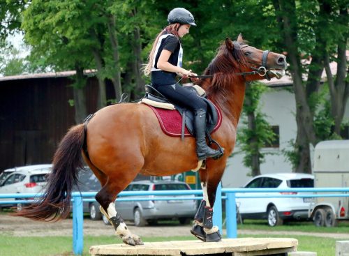 img-5038-edytowano-copy Hucuły na medal – emocjonujące kwalifikacje w Klikowskiej Ostoi- cz..1
