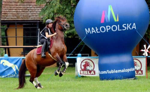 img-5057-edytowano-copy Hucuły na medal – emocjonujące kwalifikacje w Klikowskiej Ostoi- cz..1