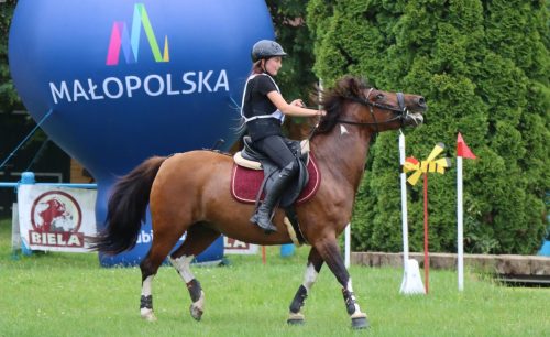 img-5067-edytowano-copy Hucuły na medal – emocjonujące kwalifikacje w Klikowskiej Ostoi- cz..1