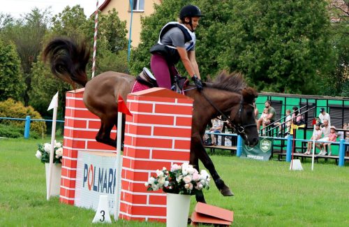 img-5134-edytowano-copy Hucuły na medal – emocjonujące kwalifikacje w Klikowskiej Ostoi- cz..1