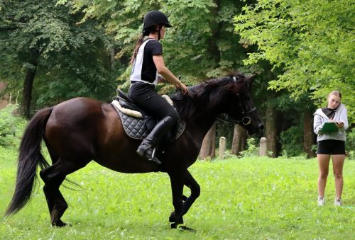 img-5143-edytowano-copy Hucuły na medal – emocjonujące kwalifikacje w Klikowskiej Ostoi- cz..1