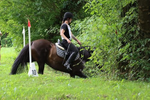 img-5153-edytowano-copy Hucuły na medal – emocjonujące kwalifikacje w Klikowskiej Ostoi- cz..1
