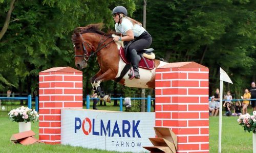 0 Hucuły na medal – emocjonujące kwalifikacje w Klikowskiej Ostoi cz. 2