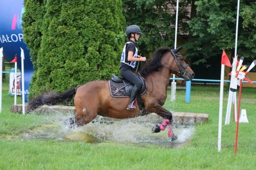 1 Hucuły na medal – emocjonujące kwalifikacje w Klikowskiej Ostoi cz. 2