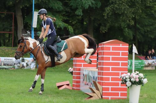 10 Hucuły na medal – emocjonujące kwalifikacje w Klikowskiej Ostoi cz. 2