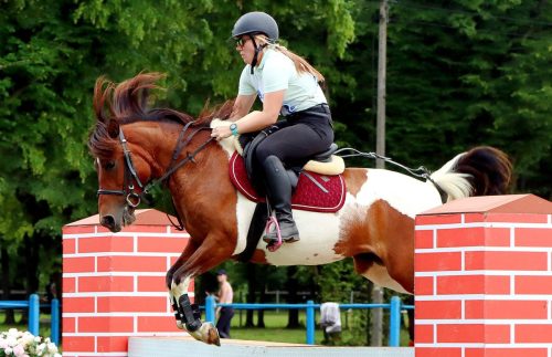12 Hucuły na medal – emocjonujące kwalifikacje w Klikowskiej Ostoi cz. 2