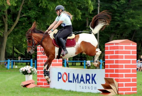 13 Hucuły na medal – emocjonujące kwalifikacje w Klikowskiej Ostoi cz. 2