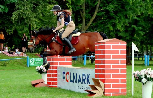 14 Hucuły na medal – emocjonujące kwalifikacje w Klikowskiej Ostoi cz. 2