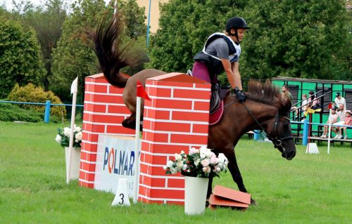 15 Hucuły na medal – emocjonujące kwalifikacje w Klikowskiej Ostoi cz. 2