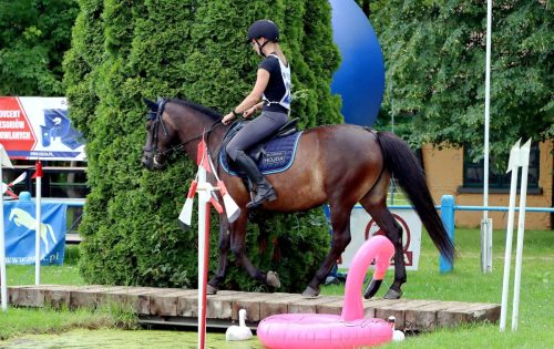 17 Hucuły na medal – emocjonujące kwalifikacje w Klikowskiej Ostoi cz. 2