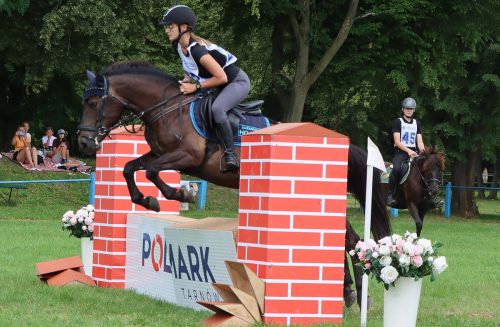 18 Hucuły na medal – emocjonujące kwalifikacje w Klikowskiej Ostoi cz. 2