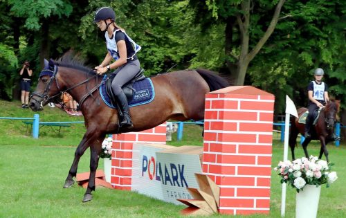 19 Hucuły na medal – emocjonujące kwalifikacje w Klikowskiej Ostoi cz. 2