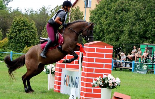 1_(1) Hucuły na medal – emocjonujące kwalifikacje w Klikowskiej Ostoi cz. 2
