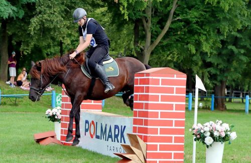 2 Hucuły na medal – emocjonujące kwalifikacje w Klikowskiej Ostoi cz. 2