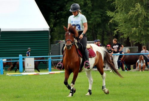 20 Hucuły na medal – emocjonujące kwalifikacje w Klikowskiej Ostoi cz. 2