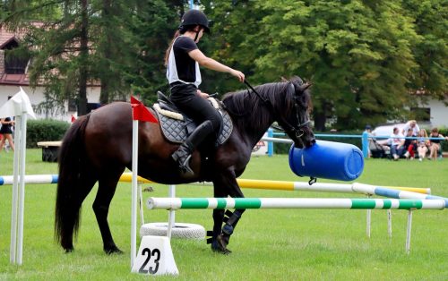 21 Hucuły na medal – emocjonujące kwalifikacje w Klikowskiej Ostoi cz. 2
