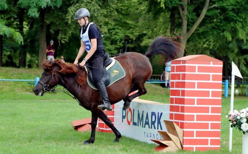 22 Hucuły na medal – emocjonujące kwalifikacje w Klikowskiej Ostoi cz. 2