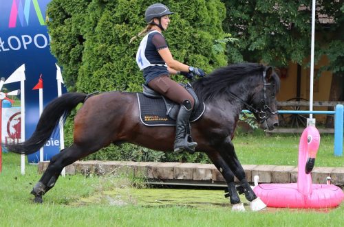 23 Hucuły na medal – emocjonujące kwalifikacje w Klikowskiej Ostoi cz. 2