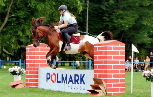 24 Hucuły na medal – emocjonujące kwalifikacje w Klikowskiej Ostoi cz. 2