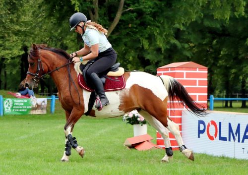 26 Hucuły na medal – emocjonujące kwalifikacje w Klikowskiej Ostoi cz. 2