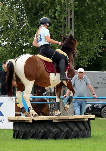 27 Hucuły na medal – emocjonujące kwalifikacje w Klikowskiej Ostoi cz. 2