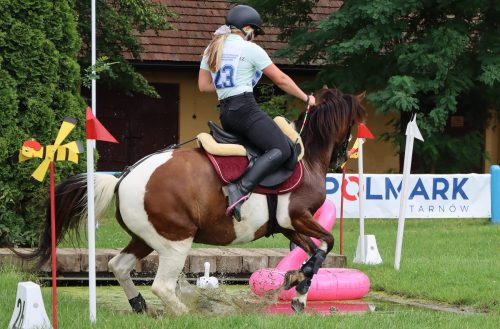 28 Hucuły na medal – emocjonujące kwalifikacje w Klikowskiej Ostoi cz. 2