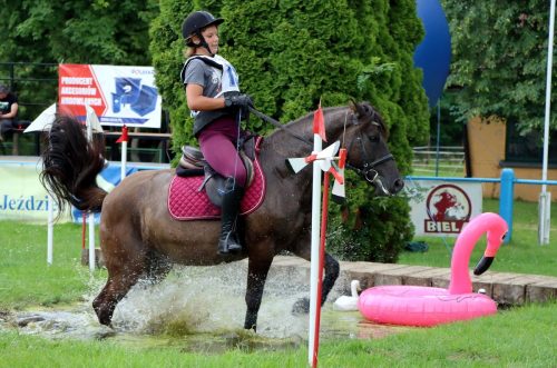 3 Hucuły na medal – emocjonujące kwalifikacje w Klikowskiej Ostoi cz. 2