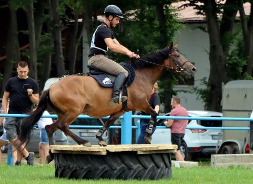 30 Hucuły na medal – emocjonujące kwalifikacje w Klikowskiej Ostoi cz. 2