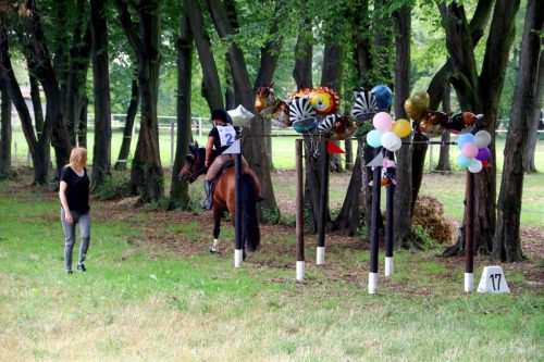 31 Hucuły na medal – emocjonujące kwalifikacje w Klikowskiej Ostoi cz. 2