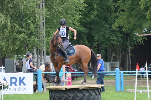 32 Hucuły na medal – emocjonujące kwalifikacje w Klikowskiej Ostoi cz. 2