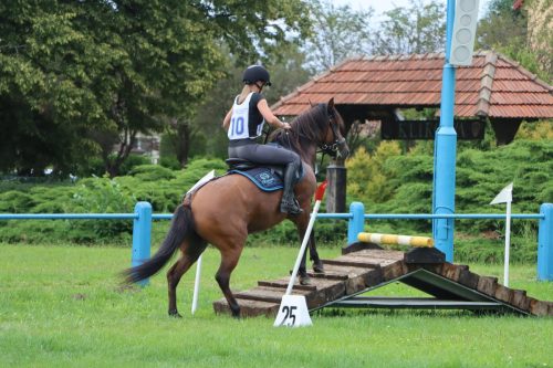 33 Hucuły na medal – emocjonujące kwalifikacje w Klikowskiej Ostoi cz. 2