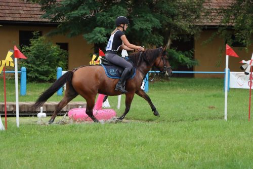 35 Hucuły na medal – emocjonujące kwalifikacje w Klikowskiej Ostoi cz. 2