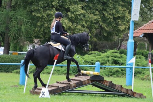 36 Hucuły na medal – emocjonujące kwalifikacje w Klikowskiej Ostoi cz. 2